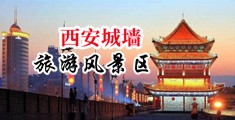 性欧美群交中国陕西-西安城墙旅游风景区